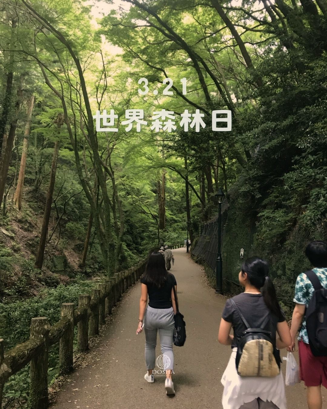 世界森林日｜森林如何影響我們的生活與經濟？
