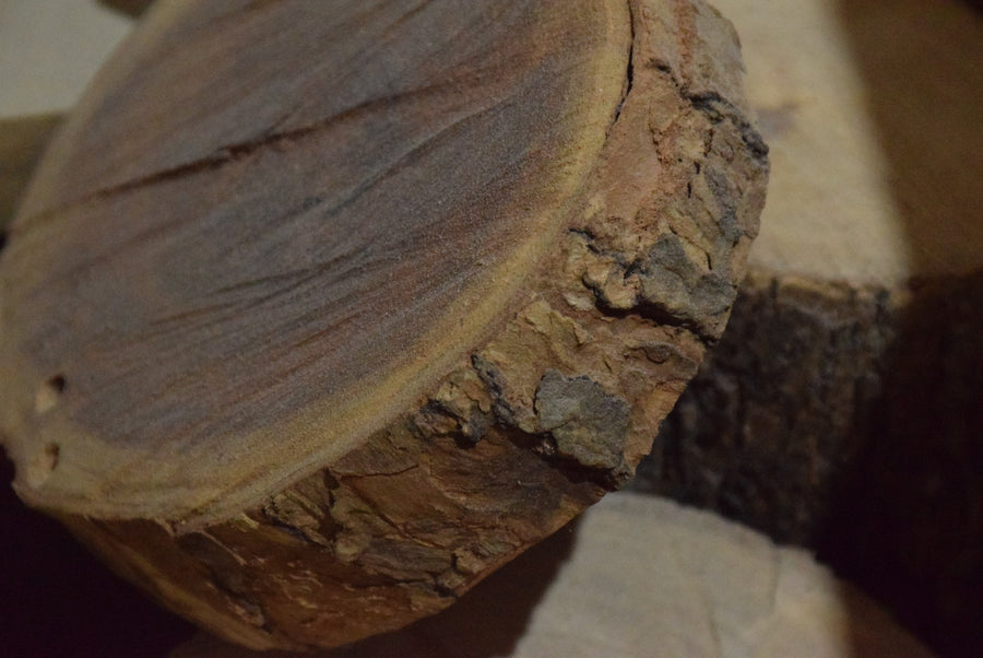 經處理的原木（Treated Solid Wood）